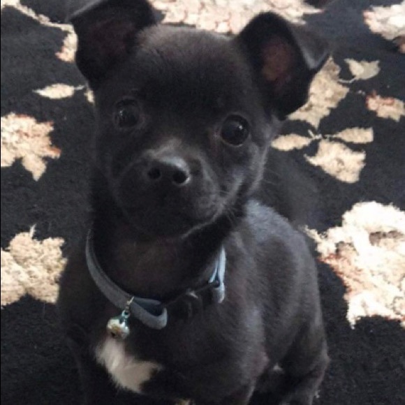 Meet your Posher, Andy - Picture 4 of 6